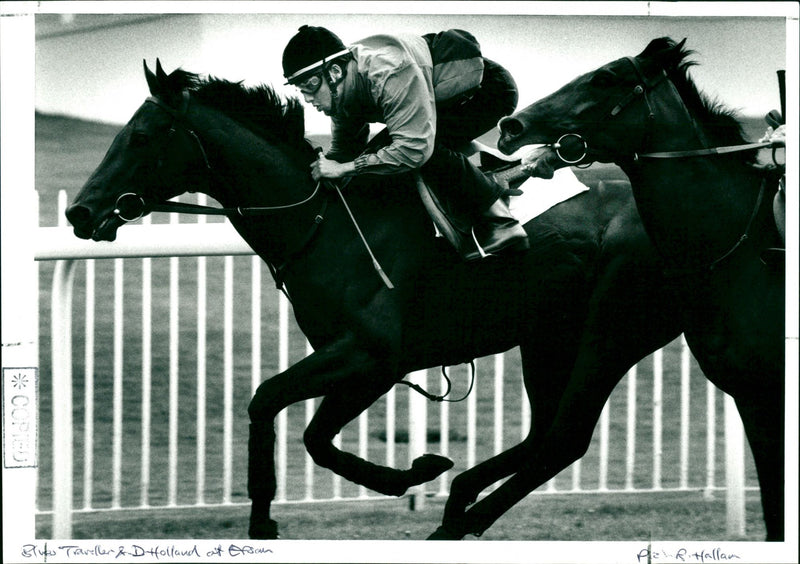 Blues Traveller &  D Holland - Vintage Photograph