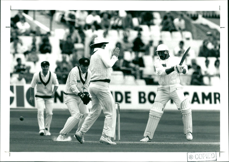 Cricket - Vintage Photograph