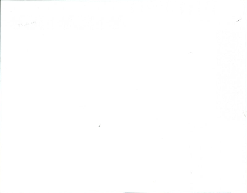 Phoenix - Vintage Photograph