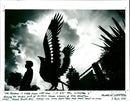 Phoenix - Vintage Photograph