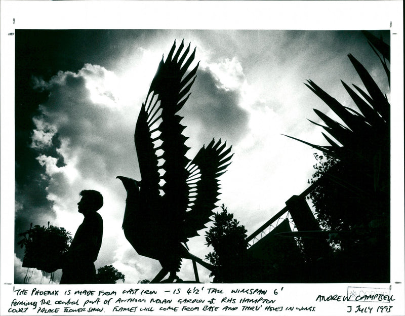 Phoenix - Vintage Photograph