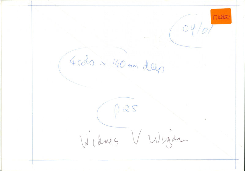 Elephants - Vintage Photograph