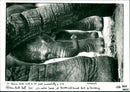 Elephants - Vintage Photograph