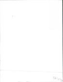 Citroën LN 1977 - Vintage Photograph