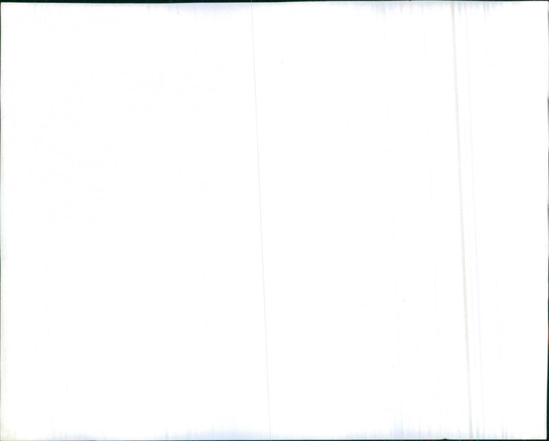 Datsun 160Y 1979 - Vintage Photograph