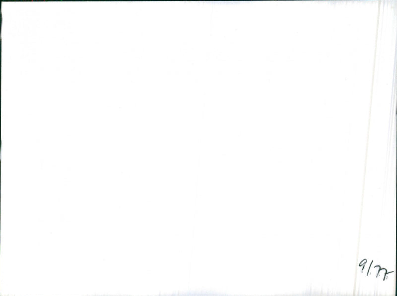 Lancia Gamma Coupe 1977 - Vintage Photograph