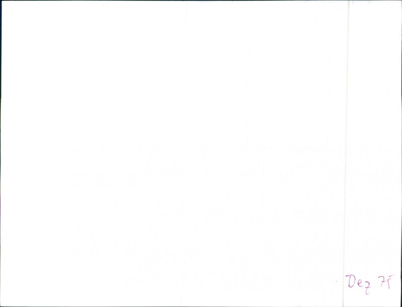 Lancia Beta Spider - Vintage Photograph