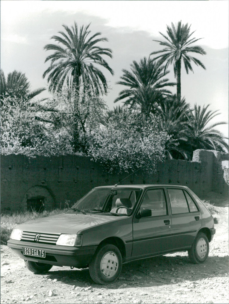 Peugeot 205 - Vintage Photograph