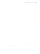 Peugeot 205 - Vintage Photograph