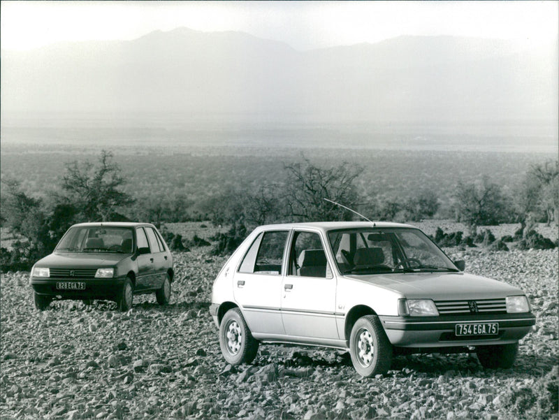 Peugeot 205 GT - Vintage Photograph