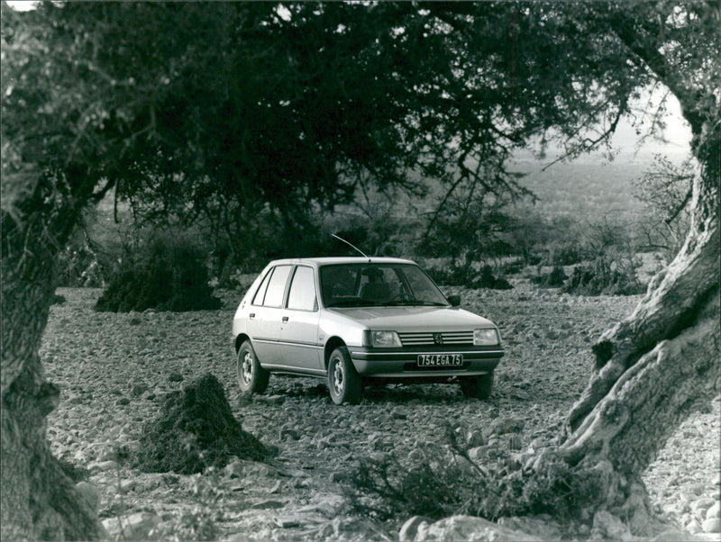 Peugeot 205 GT - Vintage Photograph