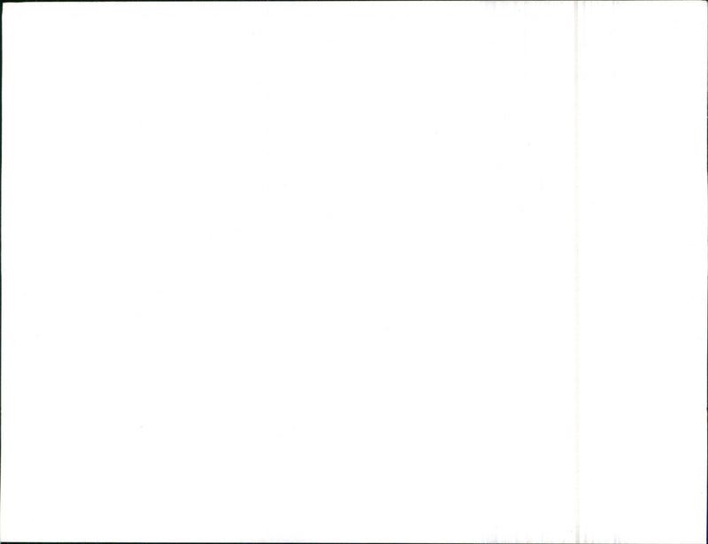 Leyland Cars - Vintage Photograph