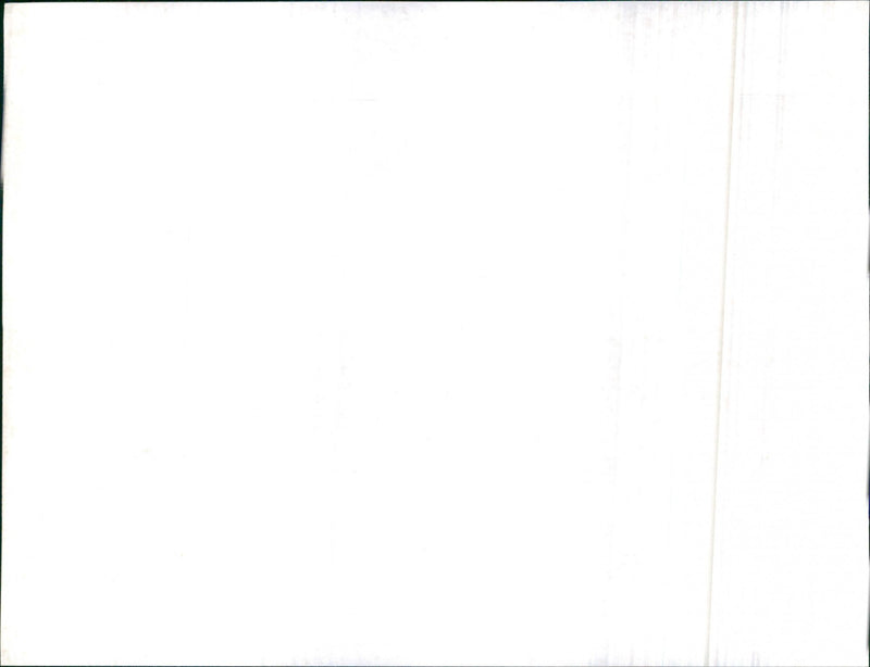 Leyland Cars - Vintage Photograph