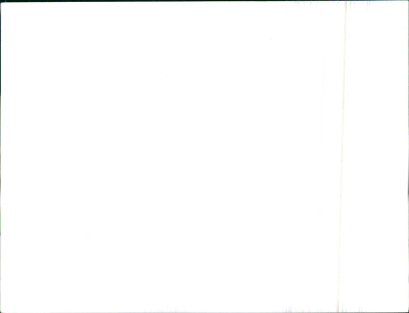 Leyland Cars - Vintage Photograph