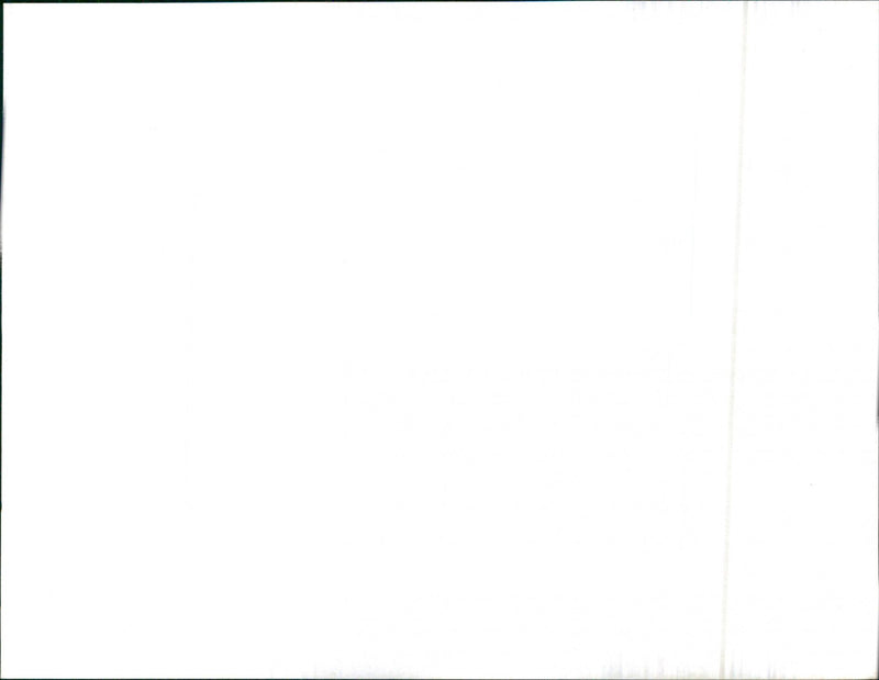 Leyland Cars - Vintage Photograph