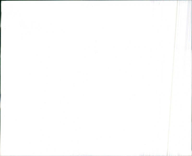 Leyland Cars - Vintage Photograph