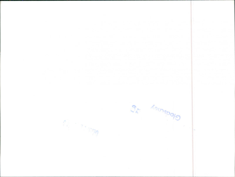 Datsun Cherry - Vintage Photograph