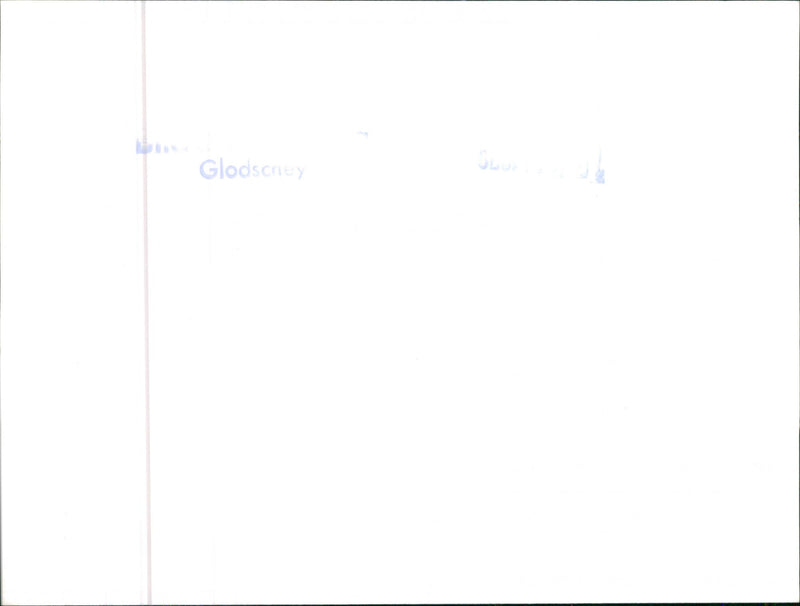 Datsun Cherry - Vintage Photograph