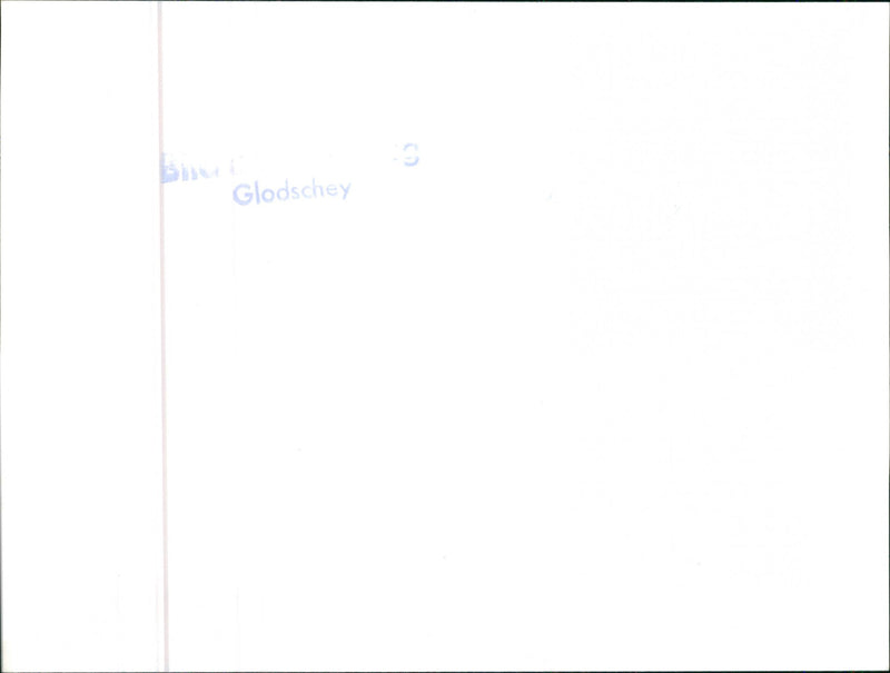 Datsun Cherry - Vintage Photograph