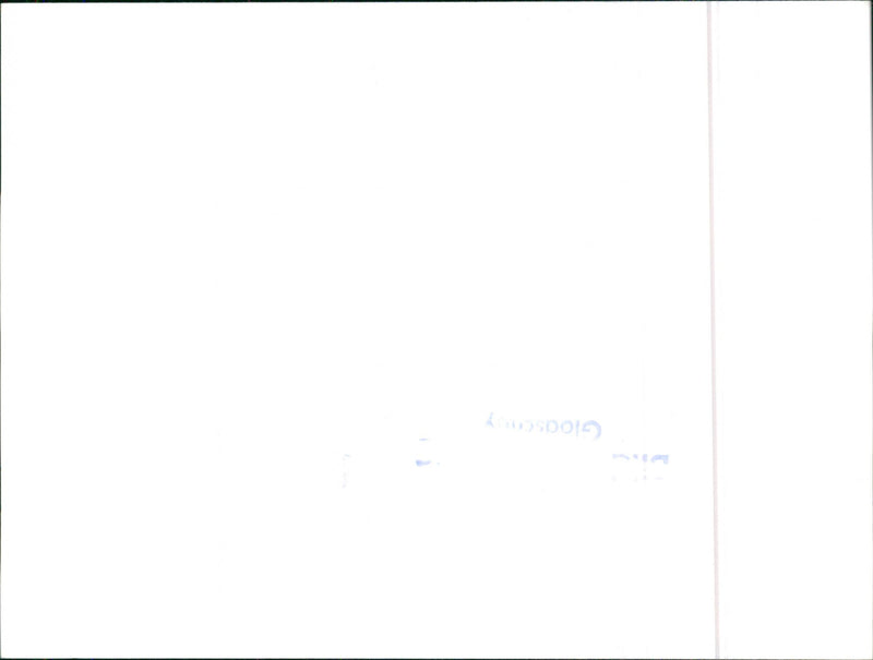 Datsun Cherry - Vintage Photograph