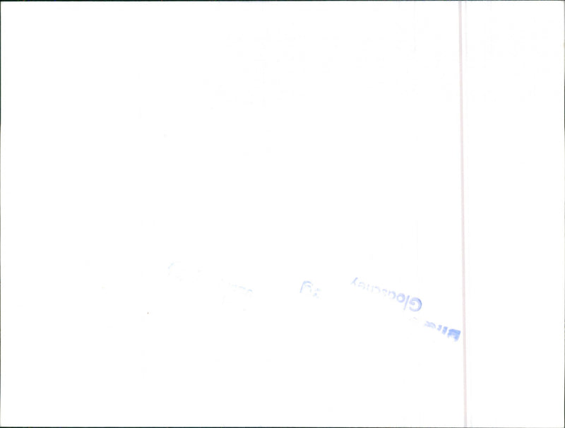 Datsun Cherry - Vintage Photograph