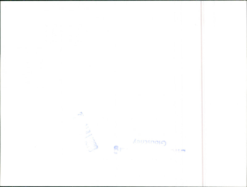 Datsun Cherry - Vintage Photograph