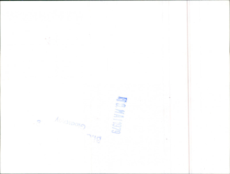 Datsun Cherry - Vintage Photograph