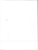 Datsun Cherry - Vintage Photograph