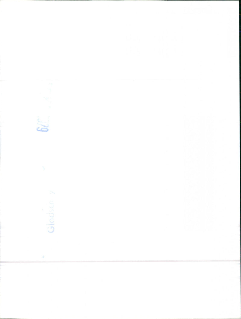 Datsun Cherry - Vintage Photograph