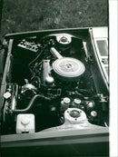 Datsun Cherry - Vintage Photograph