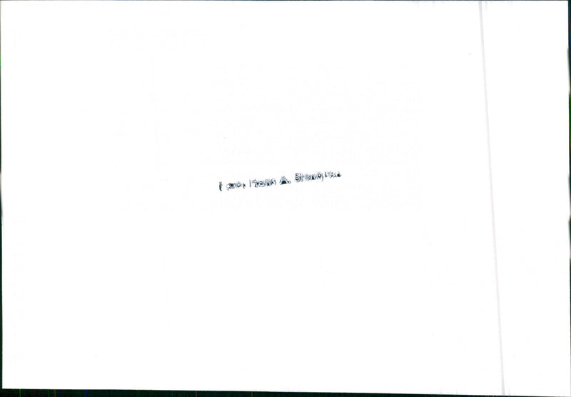 Datsun Bluebird Diesel - Vintage Photograph