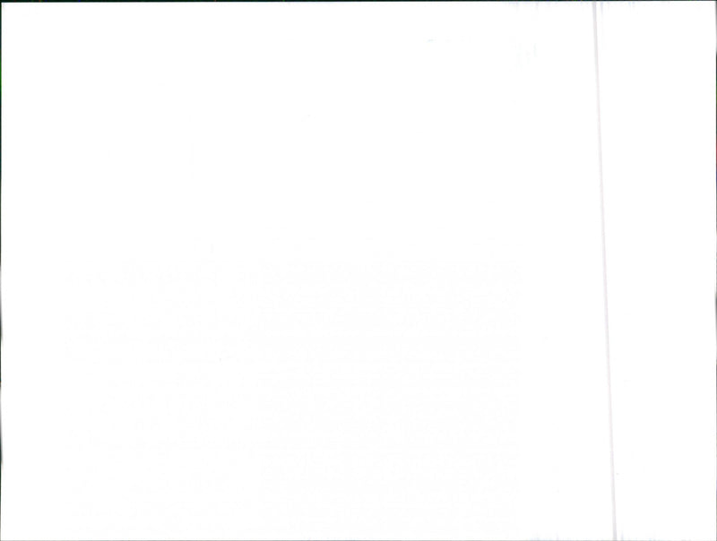 Datsun Bluebird Diesel - Vintage Photograph