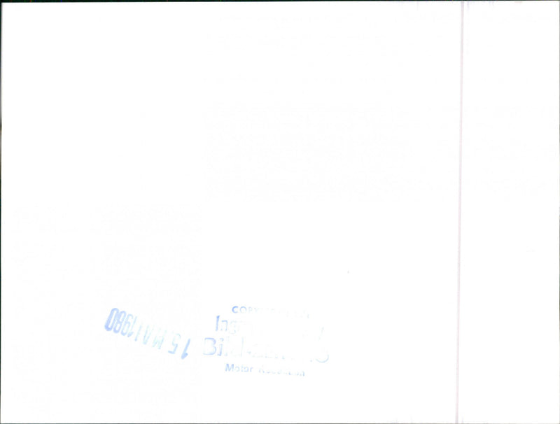 Datsun Bluebird - Vintage Photograph