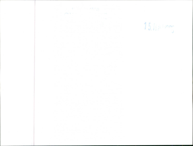 Datsun Bluebird - Vintage Photograph