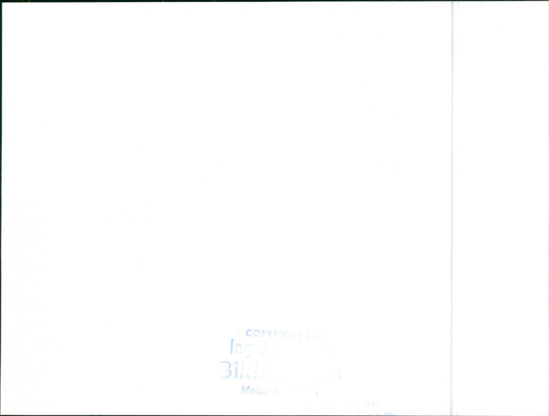 Datsun Bluebird - Vintage Photograph