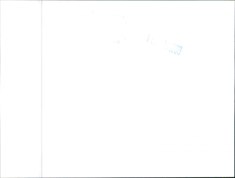 Datsun Bluebird - Vintage Photograph