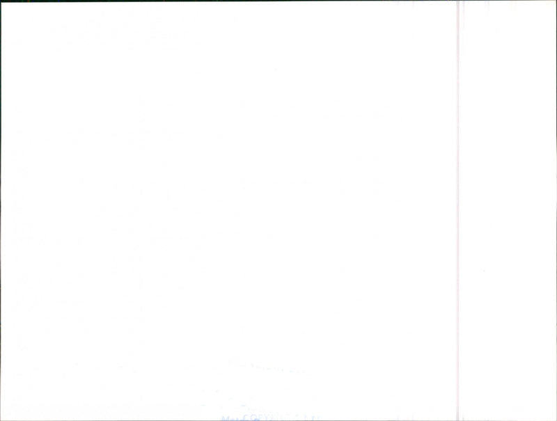 Datsun Bluebird - Vintage Photograph