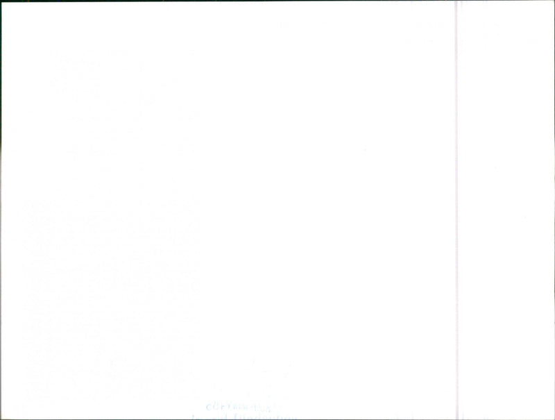 Datsun Bluebird - Vintage Photograph