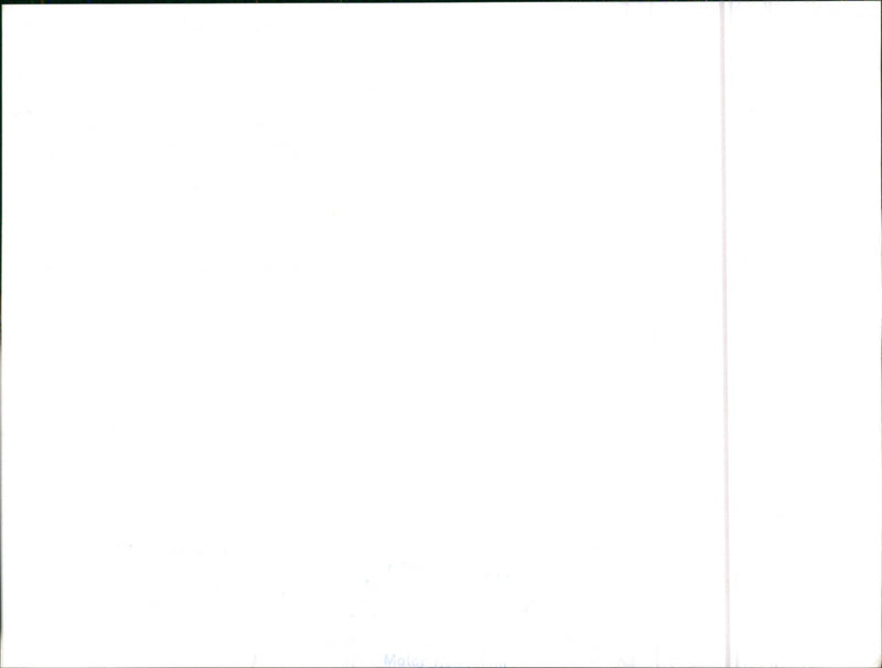 Datsun Bluebird - Vintage Photograph