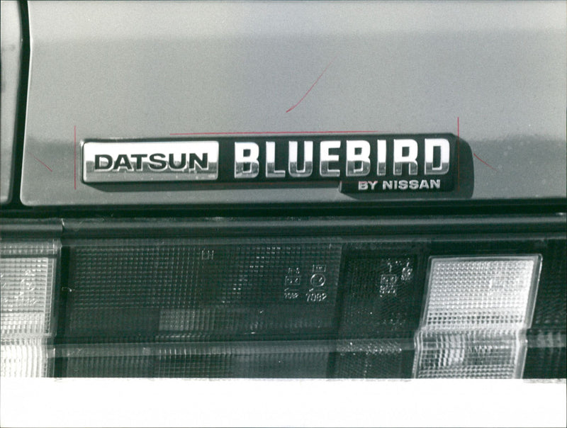 Datsun Bluebird - Vintage Photograph