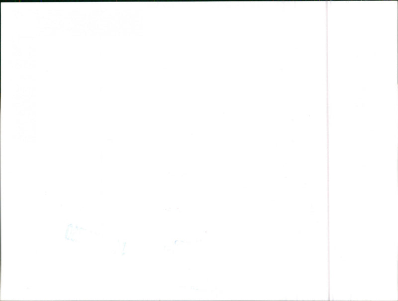 Datsun Bluebird - Vintage Photograph