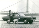 Datsun 240 K-GT - Vintage Photograph