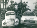 Volkswagen 1979 - Vintage Photograph