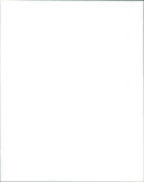 1989 ALBERT CONCERT - Vintage Photograph