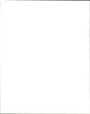 1989 ALBERT CONCERT - Vintage Photograph