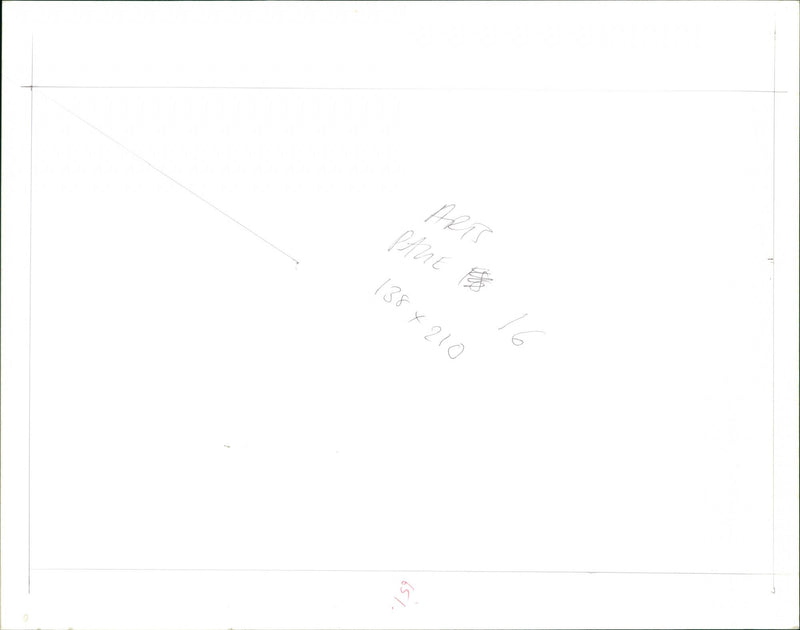 1989 WRITER - Vintage Photograph