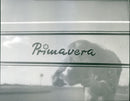 Fiat Primavera - Vintage Photograph