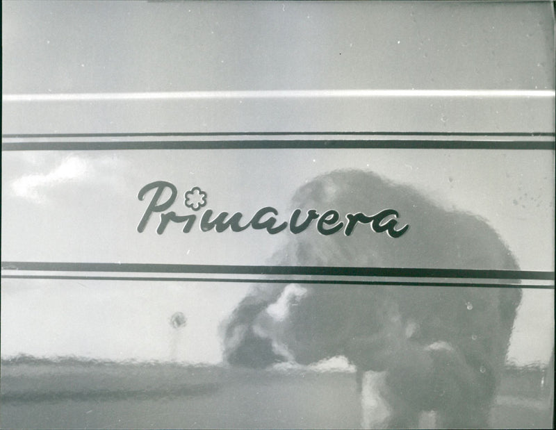 Fiat Primavera - Vintage Photograph