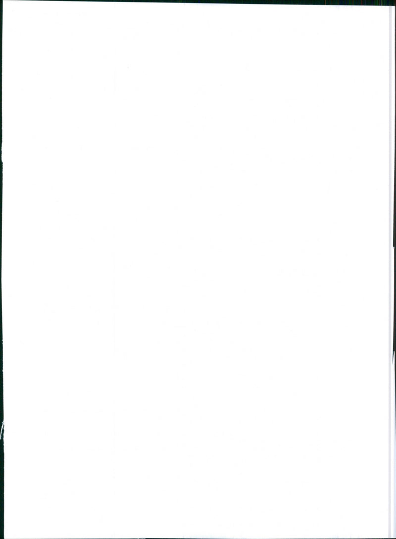 Citroen 2CV 4×4 Sahara - Vintage Photograph