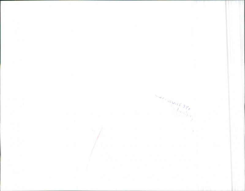 Nissan Micra - Vintage Photograph